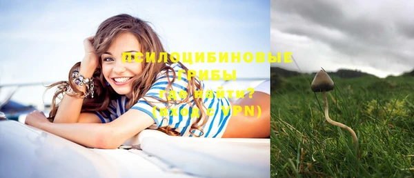 крисы Кинешма