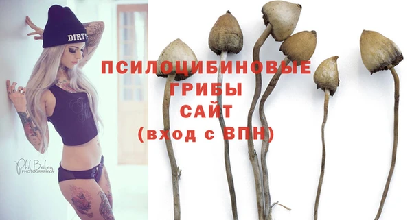 крисы Кинешма