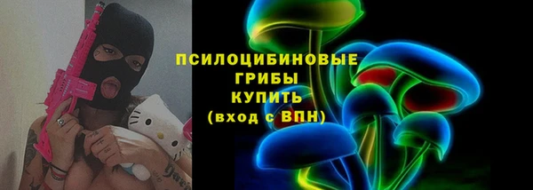 крисы Кинешма