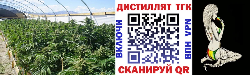 Купить закладки  Морозовск  ТГК жижа 
