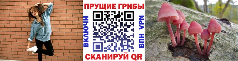 Псилоцибиновые грибы MAGIC MUSHROOMS  Купить  Морозовск 